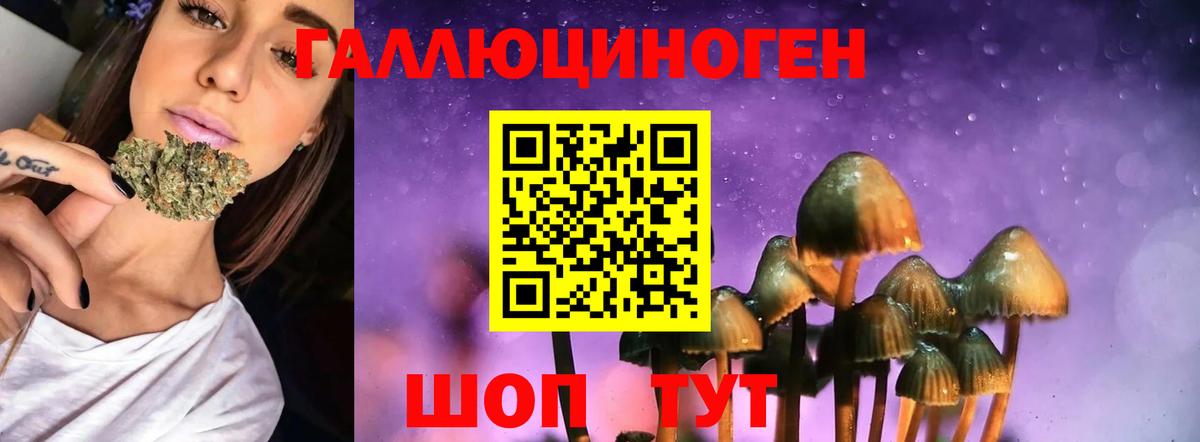 Псилоцибиновые грибы мухоморы Североуральск
